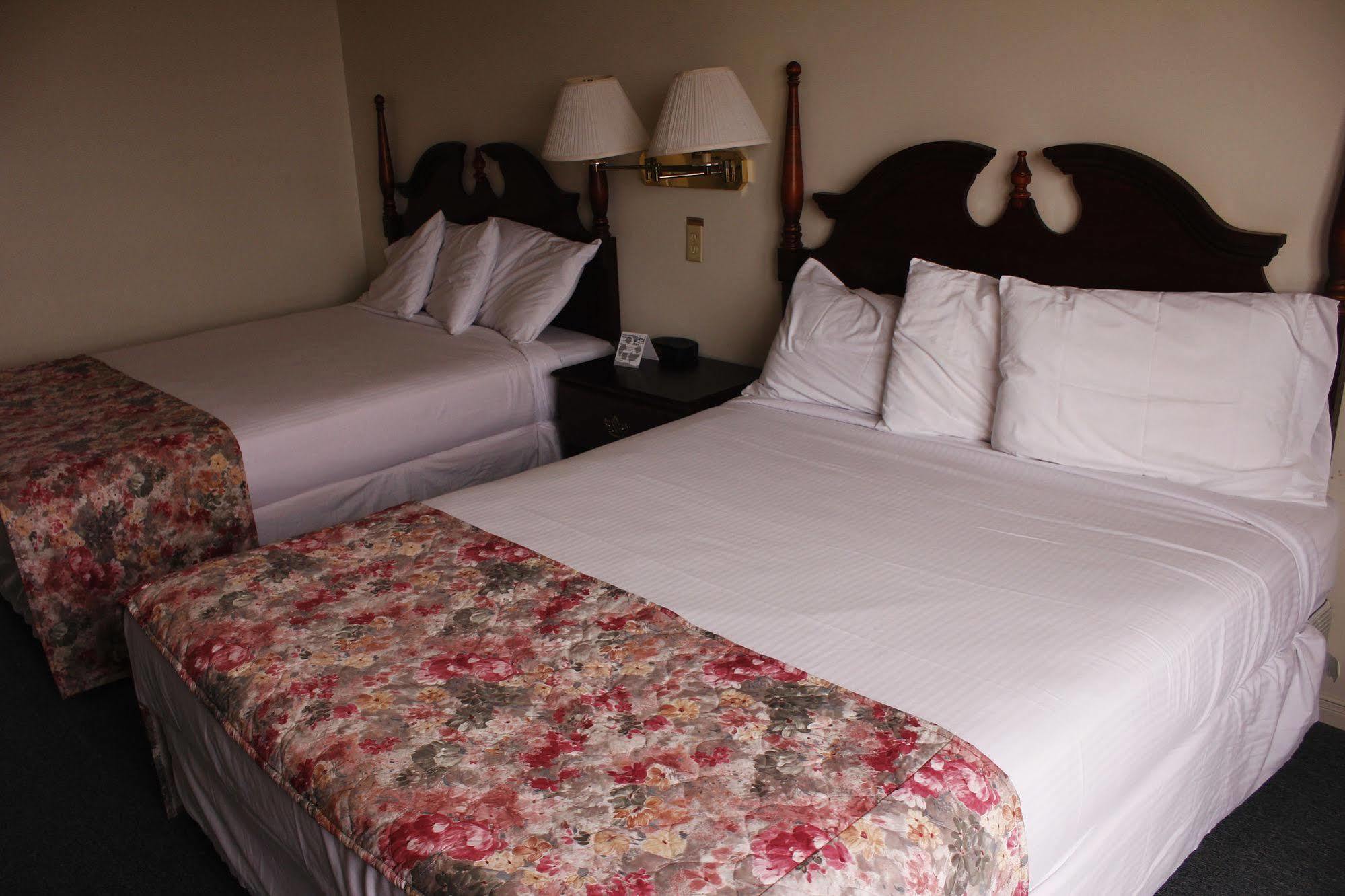 Brier Island Lodge Westport Extérieur photo