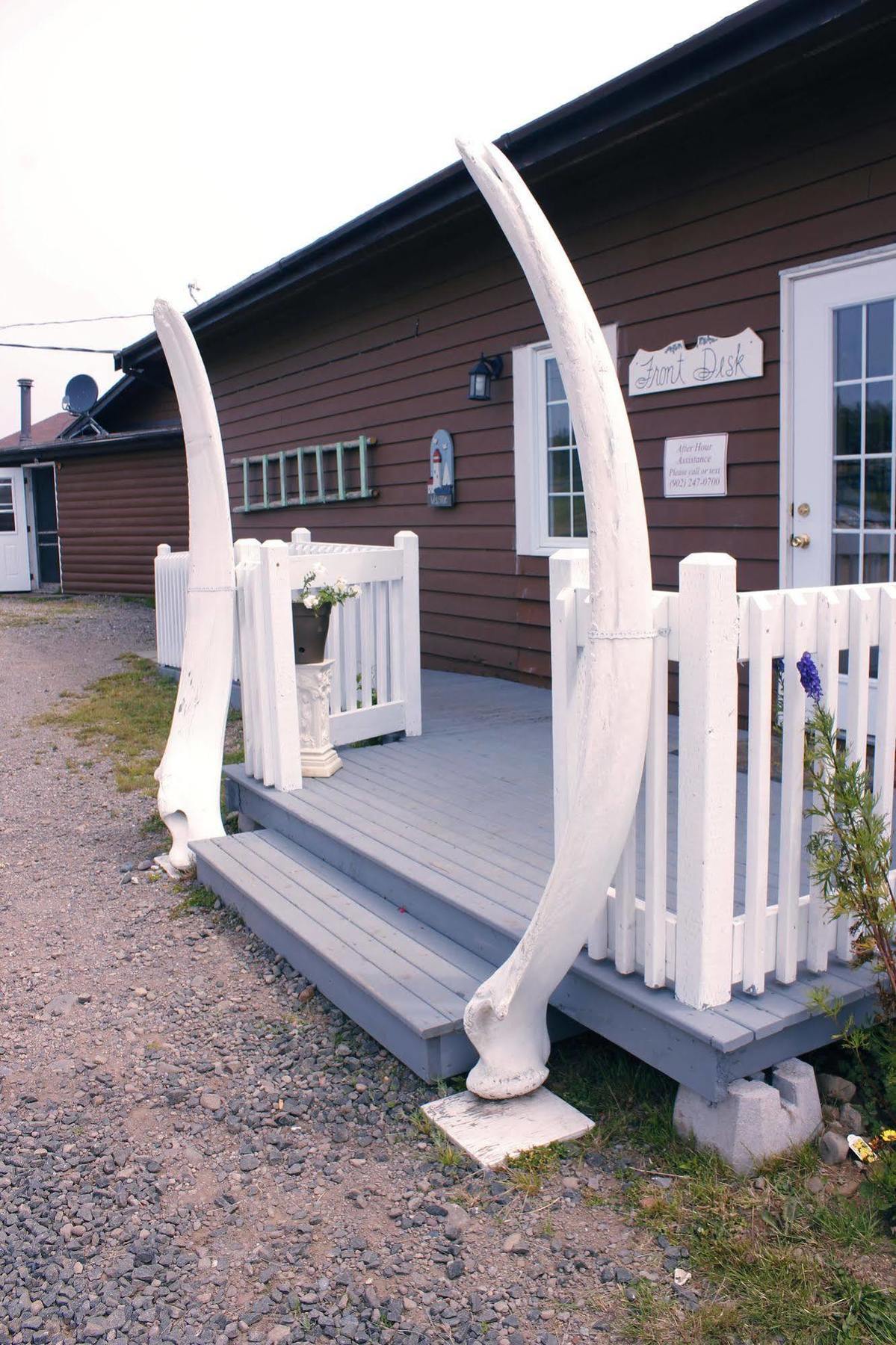 Brier Island Lodge Westport Extérieur photo